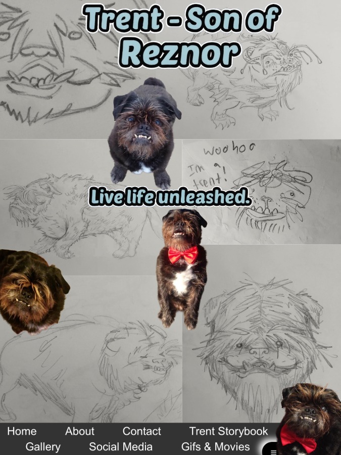 Trent the Dog