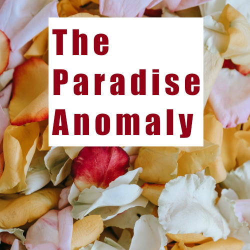 The Paradise Anomaly cover